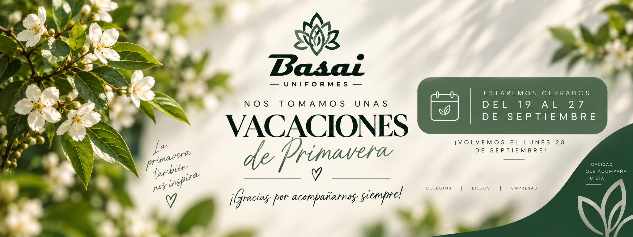 Novedades Basai 2